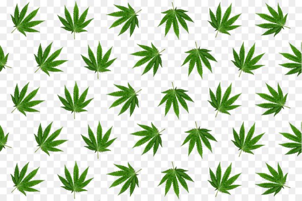 Как попасть на кракен с айфона