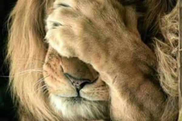 Кракен ссылка москва