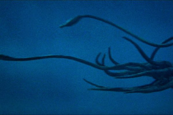 2krn cc кракен